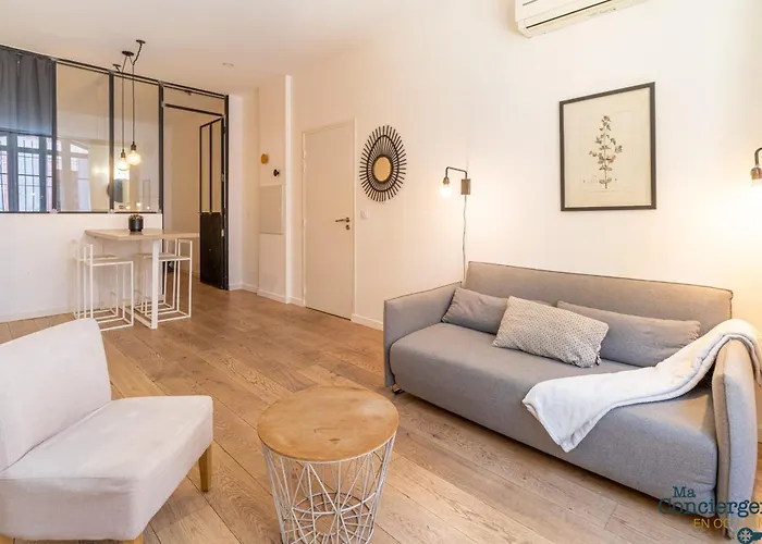 Appartement Dv1- Hypercentre Jean Jaurès Climatisation