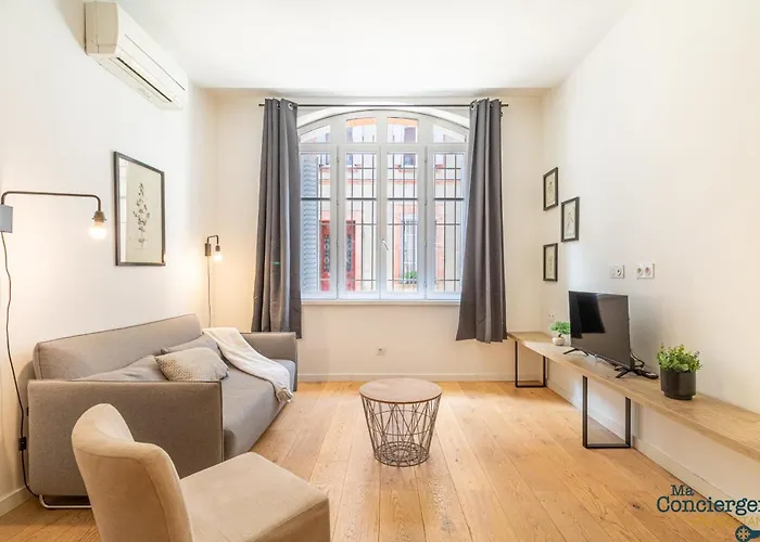 Appartement Dv1- Hypercentre Jean Jaurès Climatisation *